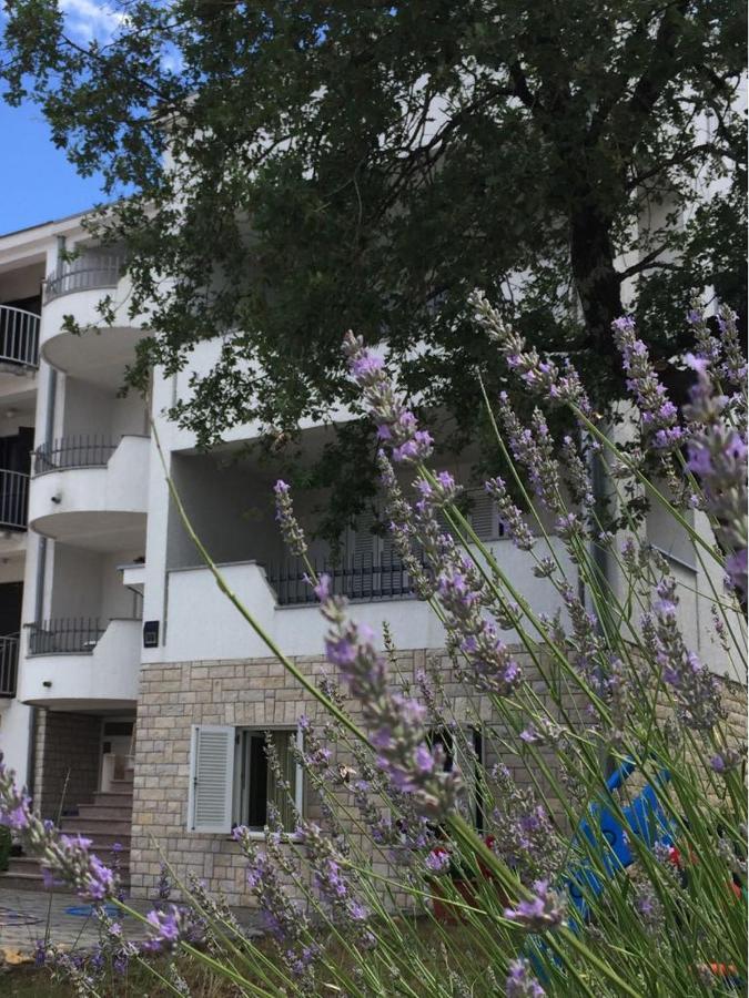 Apartmán Ana